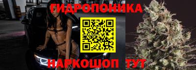 шишки Славянск-на-Кубани