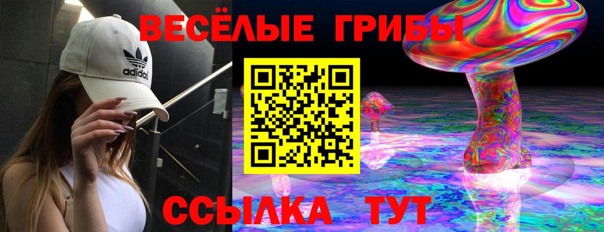 Псилоцибиновые грибы прущие грибы  Вход с VPN  Павловский Посад 