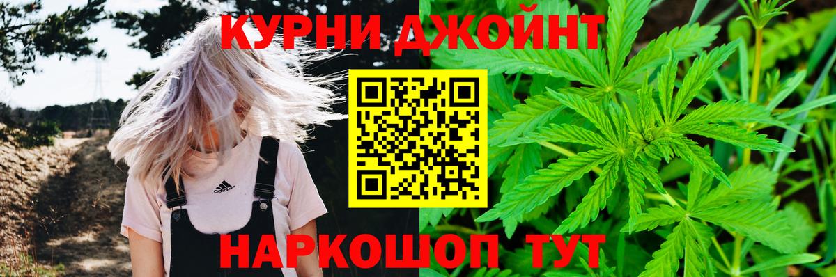 Марихуана гибрид Павловский Посад